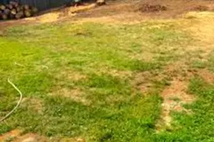 3626 Chestnut, Camp Hill, PA 17011 - Photo 15