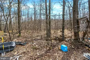 411 Mountain View Rd, Mount Holly Springs, PA 17065 - Photo 17