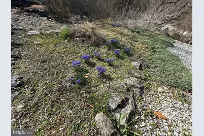 16 Springfield Road, Newville, PA 17241 - Photo 45