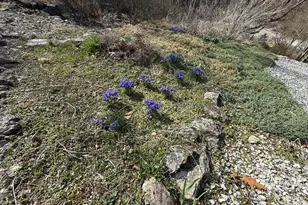 16 Springfield Rd, Newville, PA 17241 - Photo 45