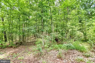 55 Horseshoe Rd, Carlisle, PA 17015 - Photo 45