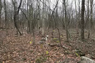 Lot 367 368 Sparrow Ln, Jim Thorpe, PA 18229 - Photo 1