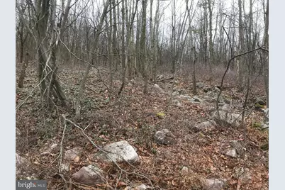 Lot# 367 & 368 Sparrow Lane, Jim Thorpe, PA 18229 - Photo 3