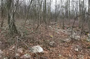 Lot 367 368 Sparrow Ln, Jim Thorpe, PA 18229 - Photo 3