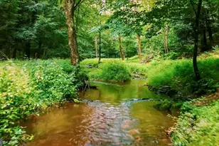 207 Saw Mill Rd, Weatherly, PA 18255 - Photo 7