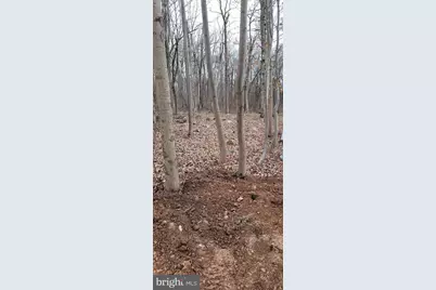 915 Narragansett Trail, Albrightsville, PA 18210 - Photo 1