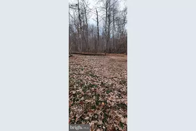 2111 Nosirrah Road, Albrightsville, PA 18210 - Photo 1