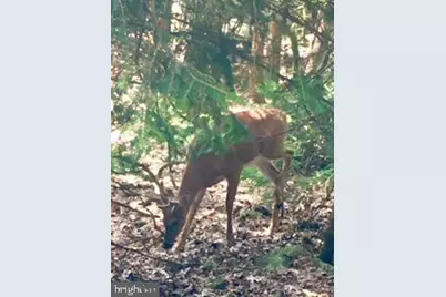 426 Longview Drive, Lake Harmony, PA 18624 - Photo 7