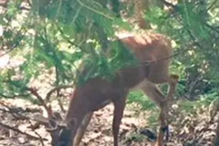 426 Longview Dr, Lake Harmony, PA 18624 - Photo 7