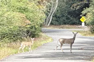 0 Hunter Ln, Albrightsville, PA 18210 - Photo 1