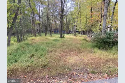 25 Maplewood Lane, Lake Harmony, PA 18624 - Photo 3