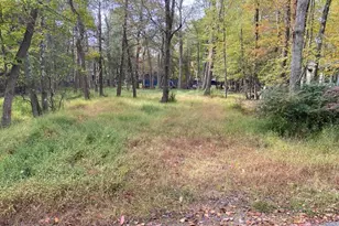 25 Maplewood Ln, Lake Harmony, PA 18624 - Photo 3