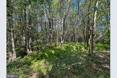 0 Drakes Drive, Jim Thorpe, PA 18229 - Photo 7