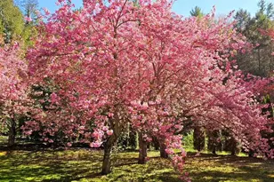 3585 Fairyland Rd, Lehighton, PA 18235 - Photo 103