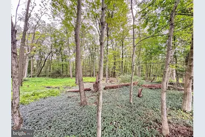 0 Pine Hollow, Lehighton, PA 18235 - Photo 3
