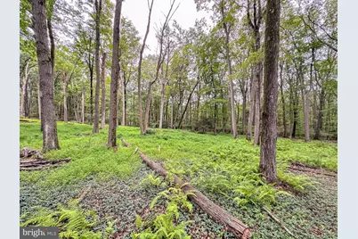 0 Pine Hollow, Lehighton, PA 18235 - Photo 11