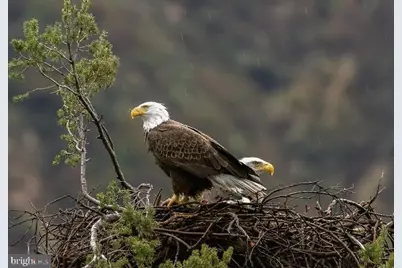 614 Graystones Jeras Rd Lot Hv-1, Albrightsville, PA 18210 - Photo 3