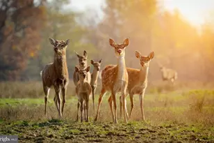 614 Graystones Jeras Rd Lot Hv-2, Albrightsville, PA 18210 - Photo 5