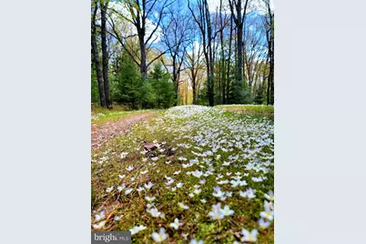 614 Graystones Jeras Rd Lot S-3, Albrightsville, PA 18210 - Photo 3