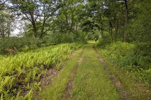 614 Graystones Jeras Rd Lot R-10, Albrightsville, PA 18210 - Photo 9