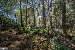 1733 State Route 903, Jim Thorpe, PA 18229 - Photo 39