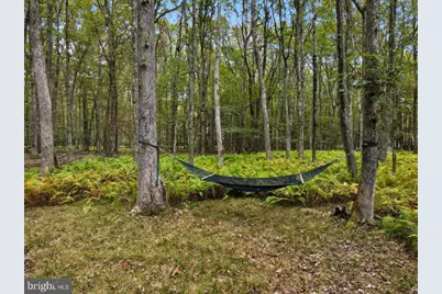 135 Dogwood Drive, Jim Thorpe, PA 18229 - Photo 85