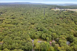 135 Dogwood Dr, Jim Thorpe, PA 18229 - Photo 93