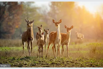 614 Graystones Jeras Rd Lot Hv-5, Albrightsville, PA 18210 - Photo 5