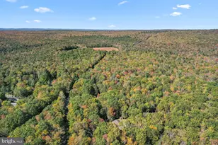 1342 N Old Stage Rd, Albrightsville, PA 18210 - Photo 41