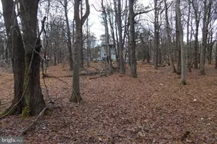 Lot D1922 Old Stage Rd, Albrightsville, PA 18210 - Photo 9