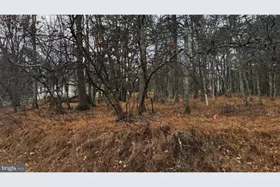 Lot D1922 Old Stage Road, Albrightsville, PA 18210 - Photo 11