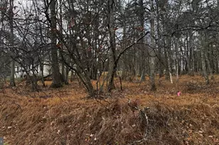 Lot D1922 Old Stage Rd, Albrightsville, PA 18210 - Photo 11