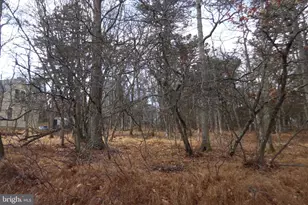 Lot D1922 Old Stage Rd, Albrightsville, PA 18210 - Photo 3