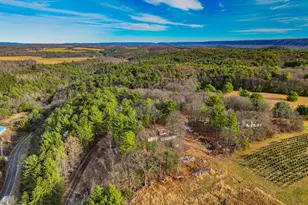 355 Hickory Rd, Palmerton, PA 18071 - Photo 63