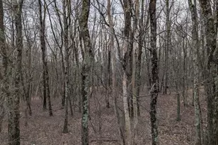 0 Seneca Rd, Albrightsville, PA 18210 - Photo 3