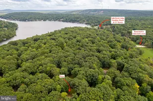 49 Forest Dr, Lake Harmony, PA 18624 - Photo 101