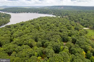 49 Forest Dr, Lake Harmony, PA 18624 - Photo 105