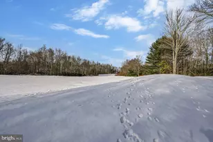 235 Wolf Hollow Rd, Lake Harmony, PA 18624 - Photo 93