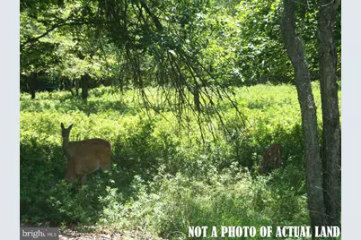 D2040 Stoney Mountain Road, Albrightsville, PA 18210 - Photo 1