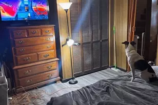 408 Lehigh Ave, Palmerton, PA 18071 - Photo 13