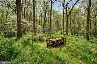 340 Moseywood Rd, Lake Harmony, PA 18624 - Photo 77