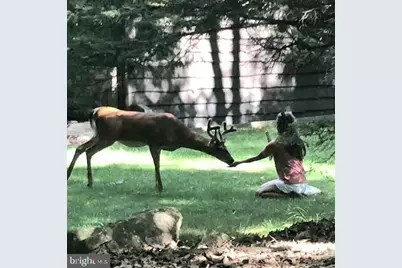 340 Moseywood Road, Lake Harmony, PA 18624 - Photo 91