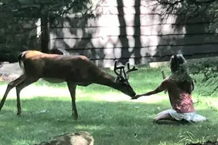 340 Moseywood Rd, Lake Harmony, PA 18624 - Photo 91