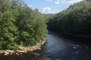 59 Midway, Lake Harmony, PA 18624 - Photo 83