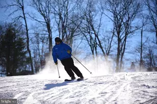 59 Midway, Lake Harmony, PA 18624 - Photo 71