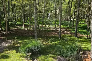 377 Kilmer Trail, Albrightsville, PA 18210 - Photo 45