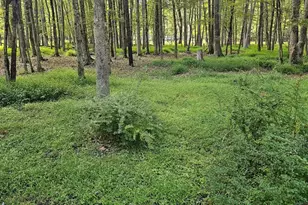 377 Kilmer Trail, Albrightsville, PA 18210 - Photo 43