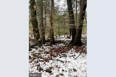 166 Lakeside Lane, Albrightsville, PA 18210 - Photo 3