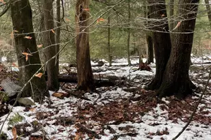 166 Lakeside Ln, Albrightsville, PA 18210 - Photo 3