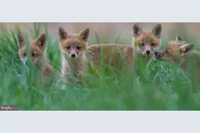 614 Graystones Jeras Rd Lot H-14, Albrightsville, PA 18210 - Photo 17